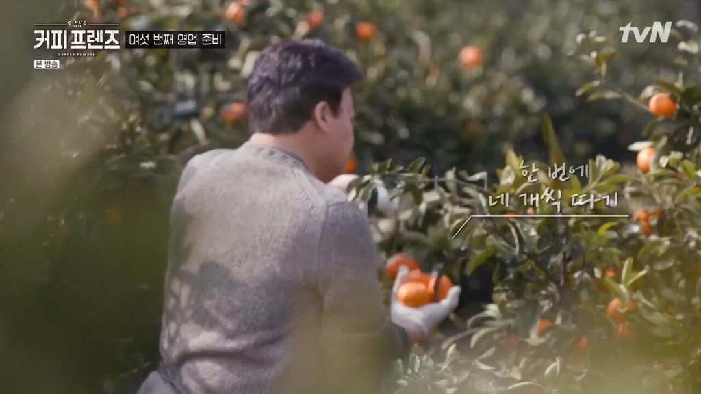 제주도에 알바하러간 백종원 | 인스티즈