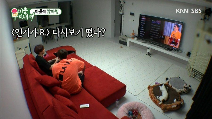 아이돌 최고 권위자 김희철 | 인스티즈