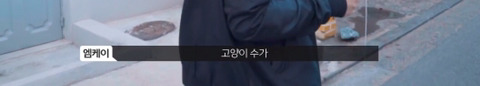 망원동 고양이 밥을 책임지고 있는 아이돌 | 인스티즈