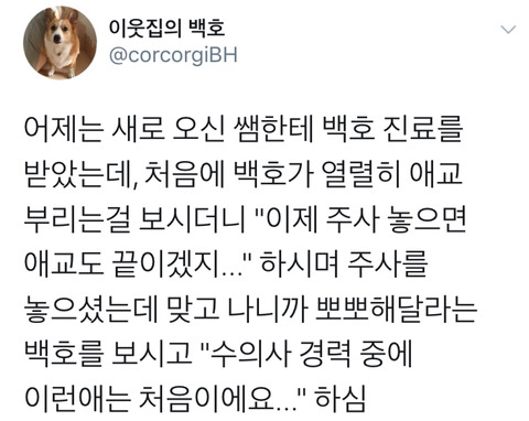 댕댕이의 고정픽은 동물병원 원장님 | 인스티즈