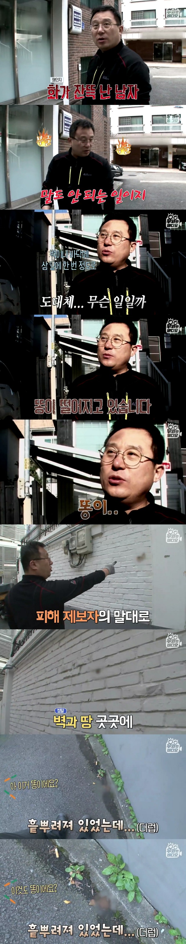 골목에 똥을 던져서 CCTV를 설치해봤더니 | 인스티즈