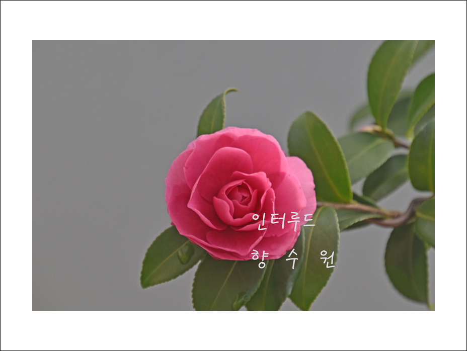 인터루드 이미지