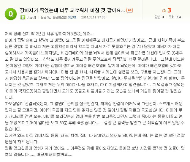 처음 반려동물 만났을때 너무 좋고 예뻐서 전혀 생각하지 못하는 것.jpg | 인스티즈