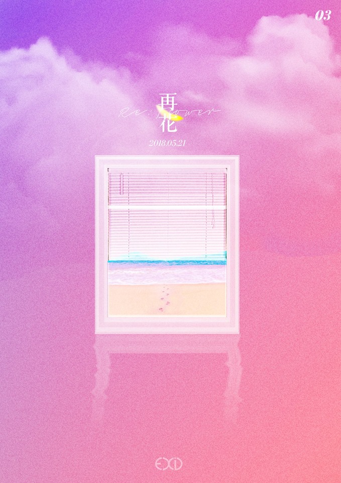리플라워 이미지