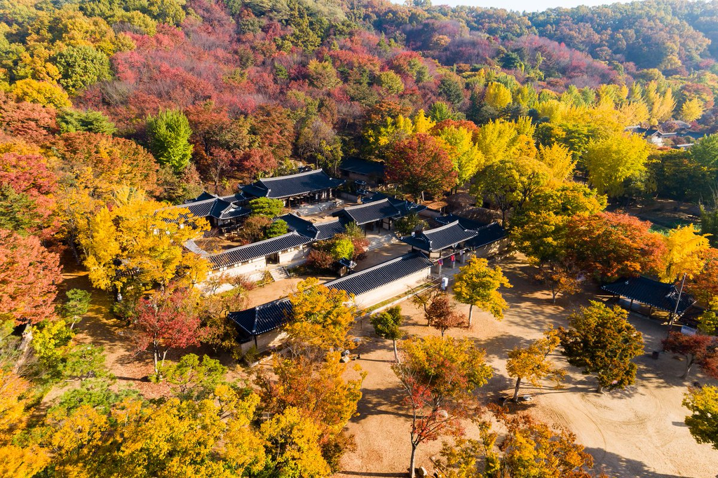 드론으로 촬영한 한국의 가을 | 인스티즈