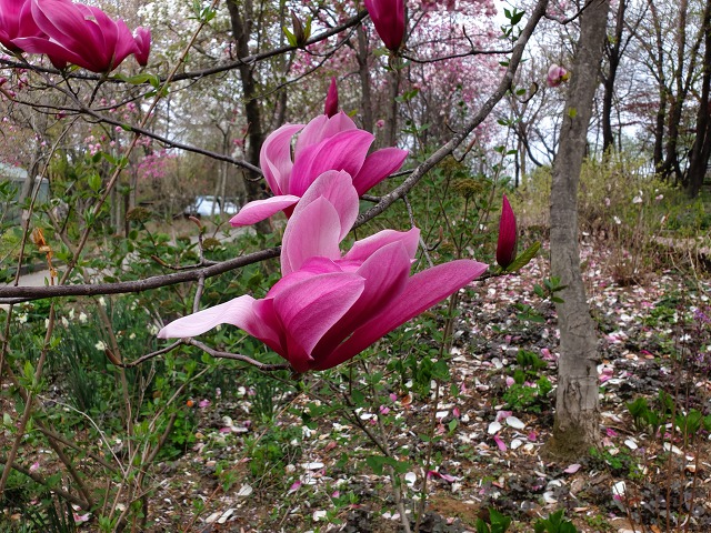 9971F93D5CBD0D892D907B