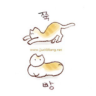 8천만원이라는 적은 자본금으로도 성공을 이룬 대표님 | 인스티즈