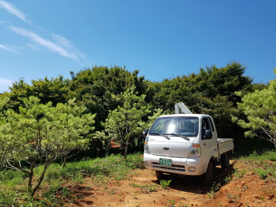 송원조경 이미지