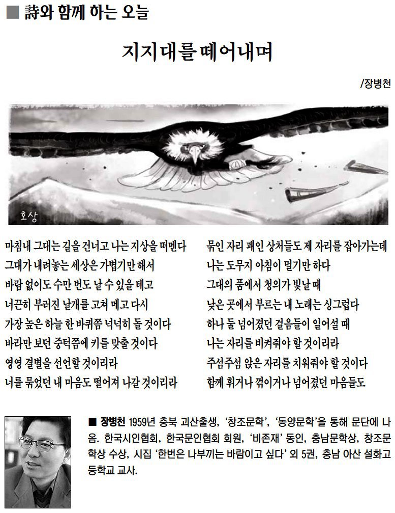 김정조 이미지
