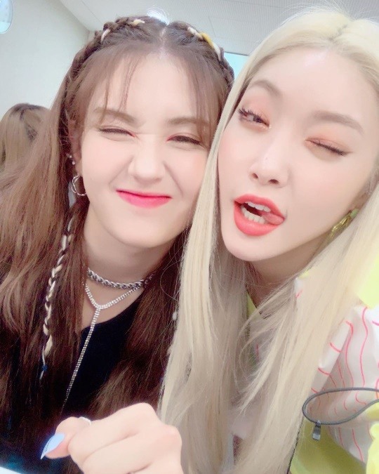 우정카메라 이미지