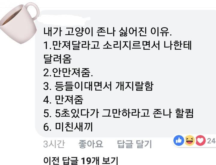 고양이를 싫어하는 이유 | 인스티즈