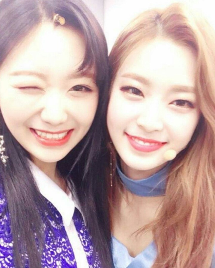 오늘자 소나무 인스타 ft. 러블리즈 수정이 | 인스티즈