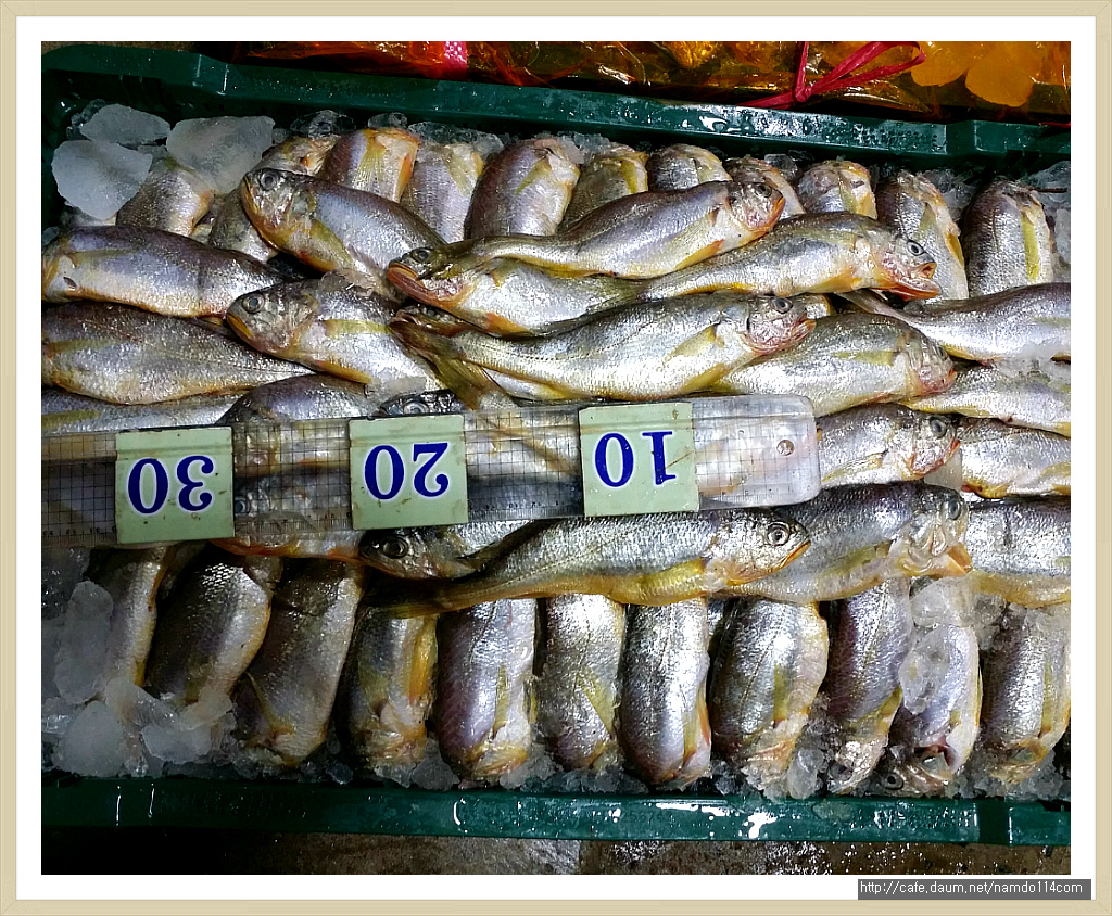 금당롯지 이미지