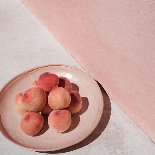 올 여름에 인스타에서 진짜 많이 본거같은 사진 분위기st | 인스티즈