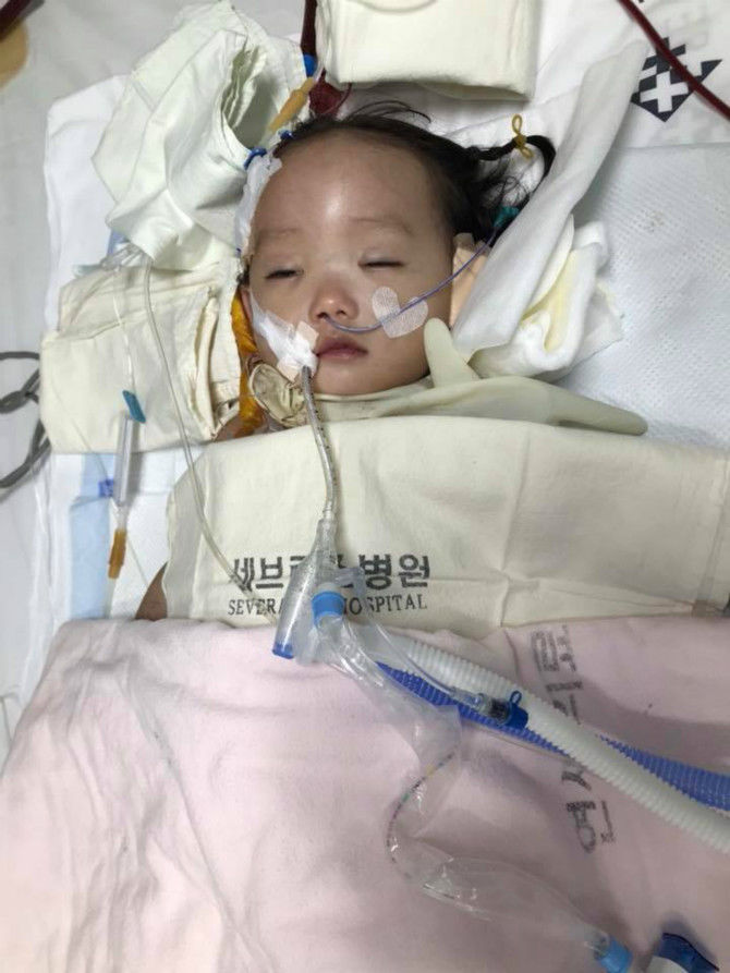  희귀난치병 진단을 받게 된 딸아이를 같이 살려주세요 | 인스티즈