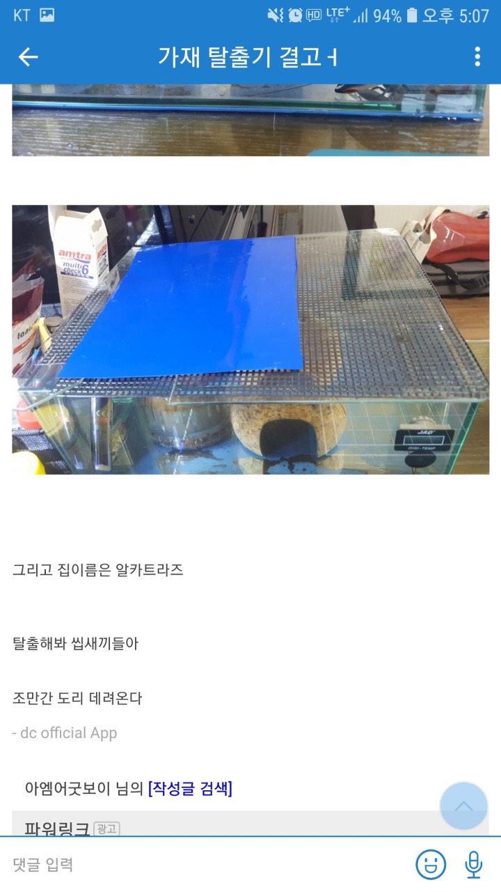 가재판 니모를 찾아서 | 인스티즈