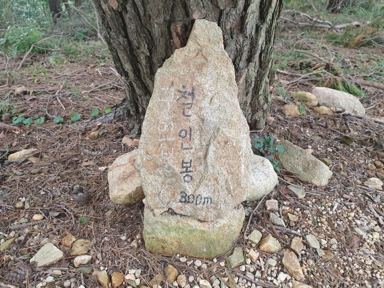 도음산 유아숲체험원 이미지