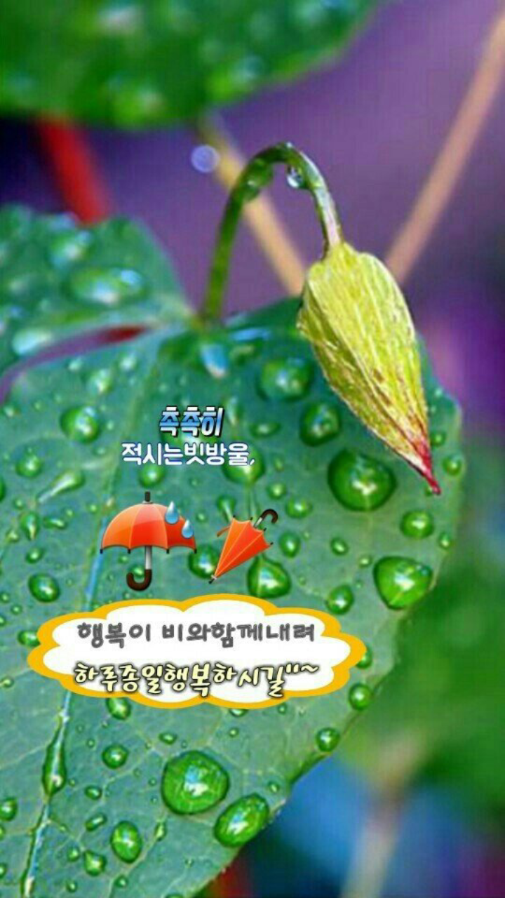 용하 이미지