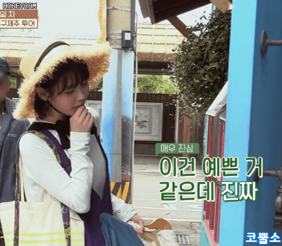 아이유의 패션 센스(feat.효리네민박) .gif | 인스티즈