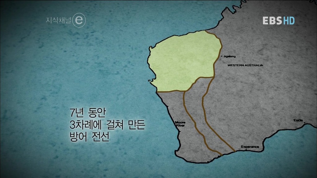 호주의 토끼전쟁 | 인스티즈