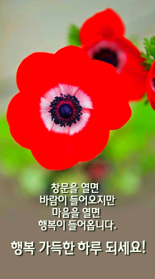 멋진하루 이미지