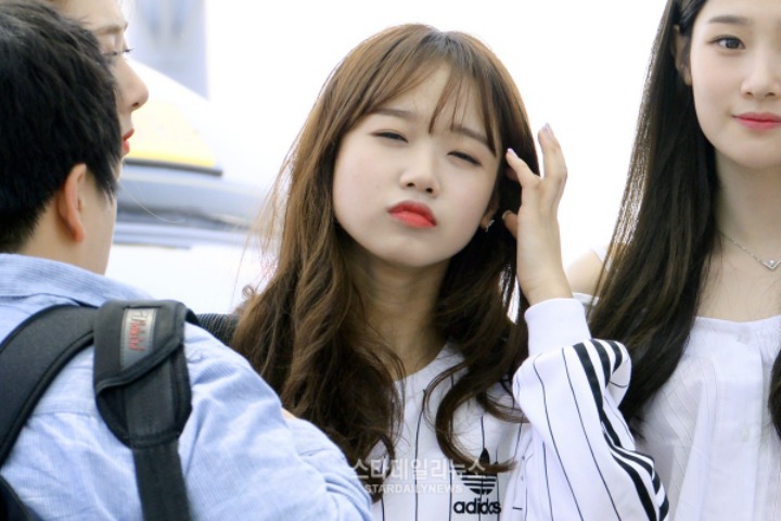 콰이 이미지