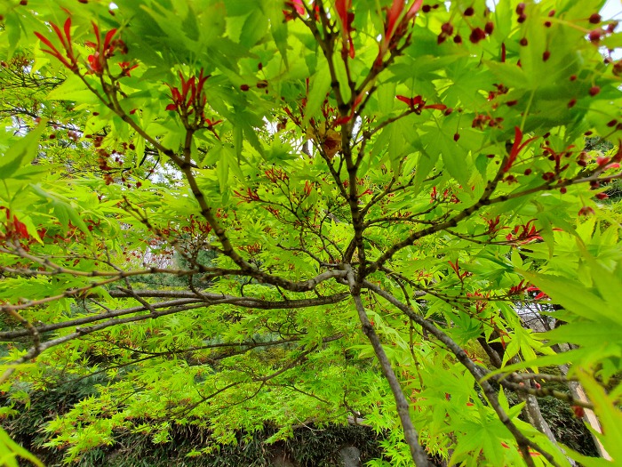 99BA923B5CBACF6930A69E