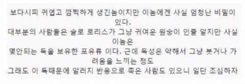 보기보다 훨씬 더 위험한 생물들 (혐오주의) | 인스티즈