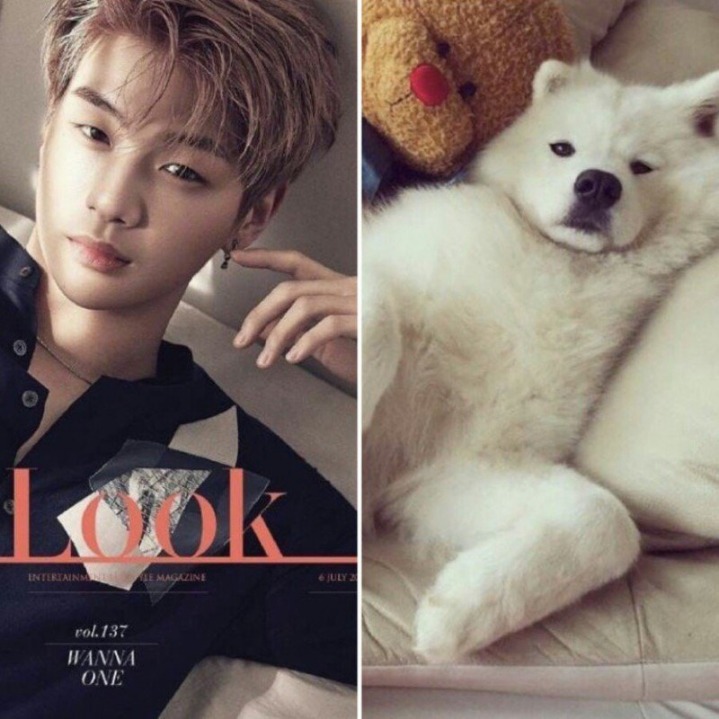 강아지중에 가장 사람닮은듯한 강다니엘 사진모음.jpg | 인스티즈