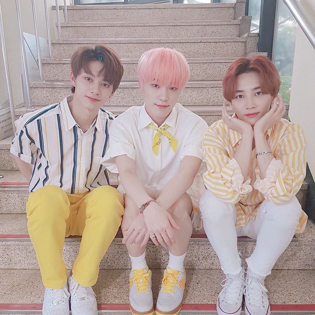 디노 이미지