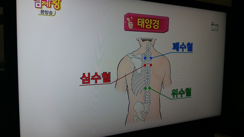 자연만세 이미지