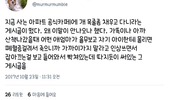 최시원 사건 이후 목줄을 해도 시비털리는 견주들 | 인스티즈