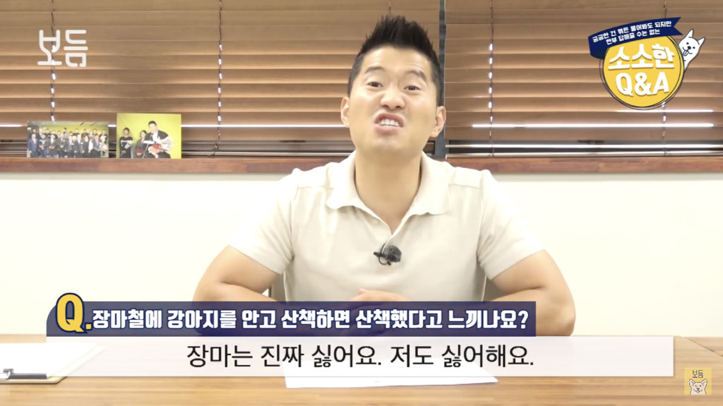 장마철에 강아지를 안고 산책하면 산책했다고 느끼나요?.jpg | 인스티즈