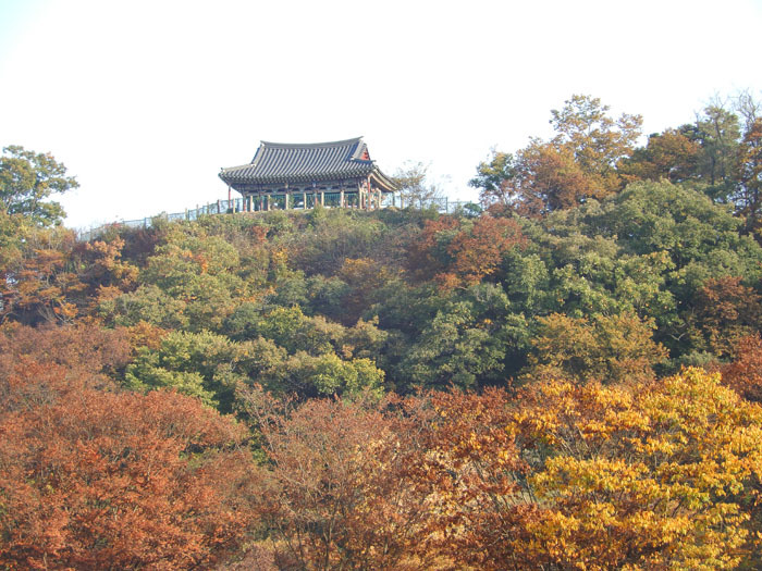탑환경 이미지