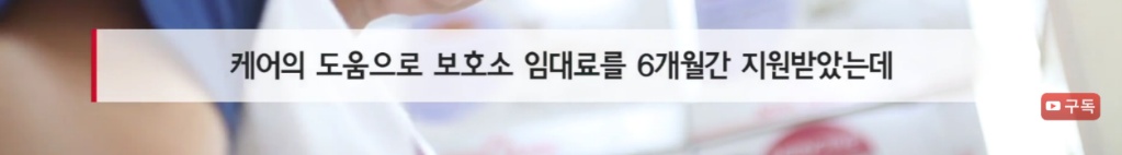 마산 애니멀 호더에게서 구조한 50여마리의 고양이들에게 손길을 내밀어주세요! 곧 쉼터가 폐쇄되어 아이들이 갈 곳이 없습니다 | 인스티즈