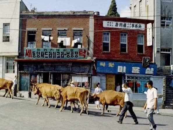 1960년대 서울 풍경 | 인스티즈
