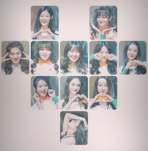 2019년 첫 아이오아이 | 인스티즈