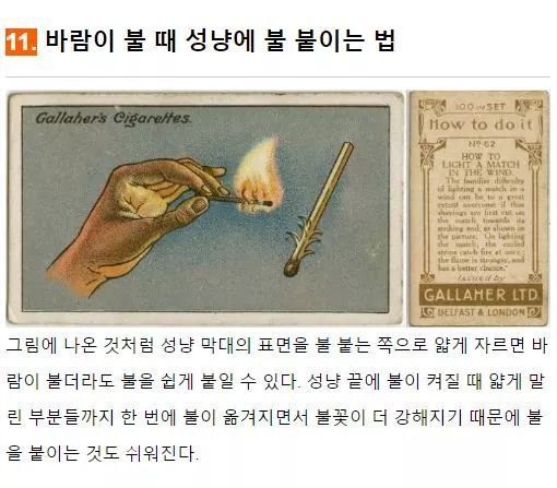 100년전 사람들의 지혜 | 인스티즈