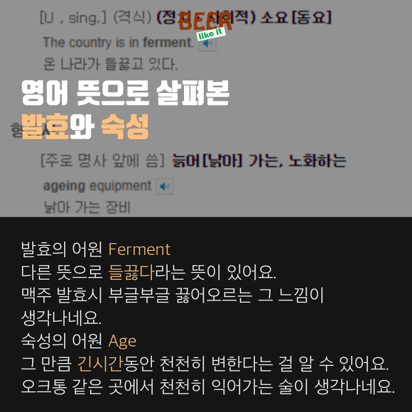 발효와 숙성의 차이? - 맥주 이야기 | 인스티즈