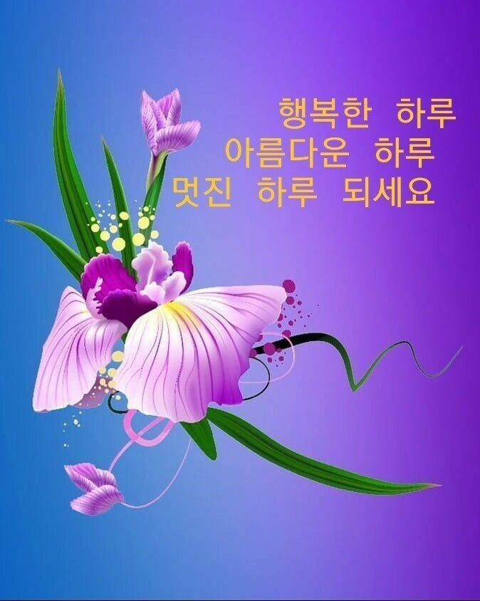 멋진하루 이미지