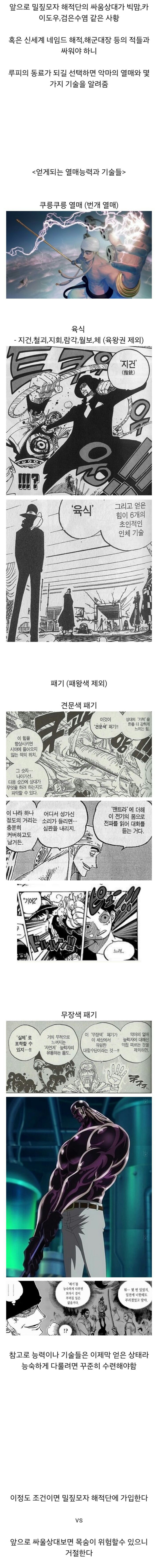 이조건이면 밀짚모자 해적단에 가입한다 vs 안한다 | 인스티즈
