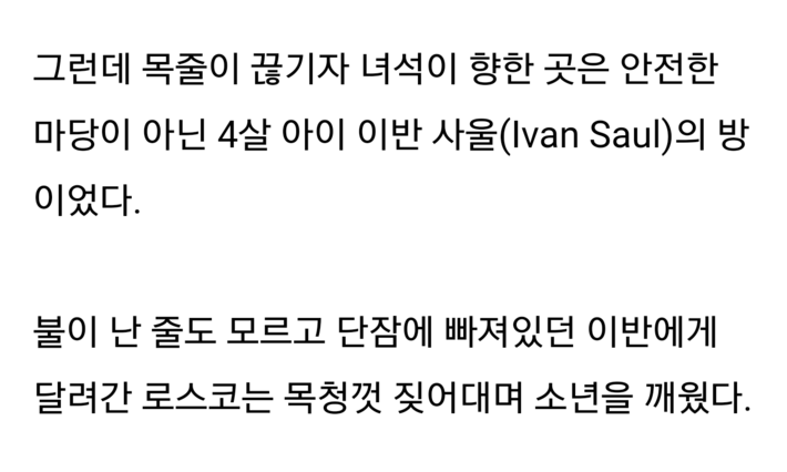 4살 아이를 구한 리트리버 | 인스티즈