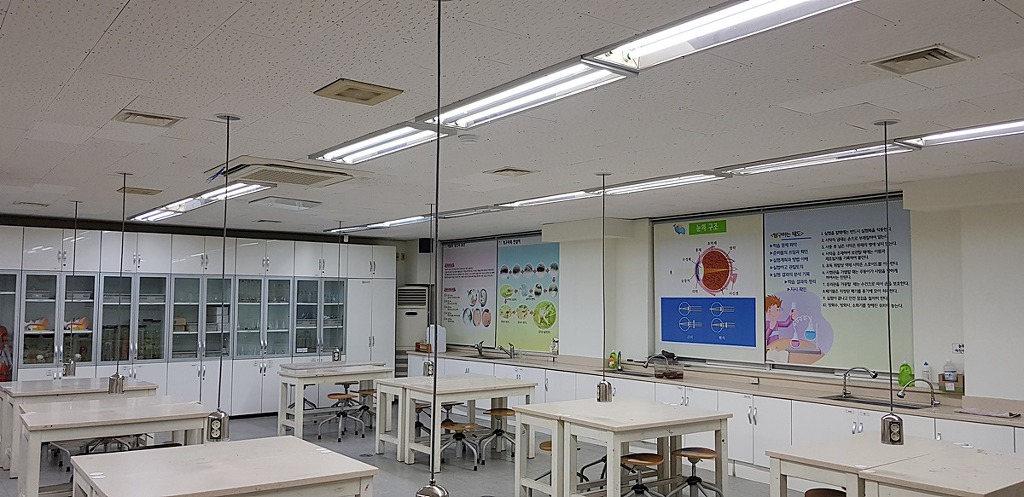 장성중학교 이미지