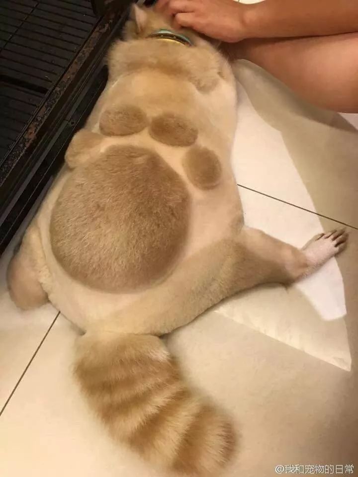 즈려밟고 이미지