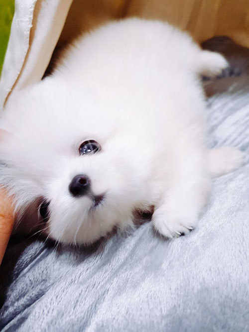 내영 이미지