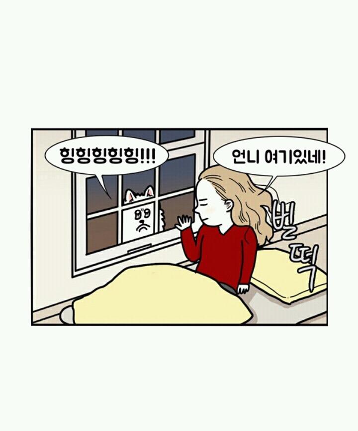 사람들이 극한견주봐도 잘 모르는 사실 | 인스티즈