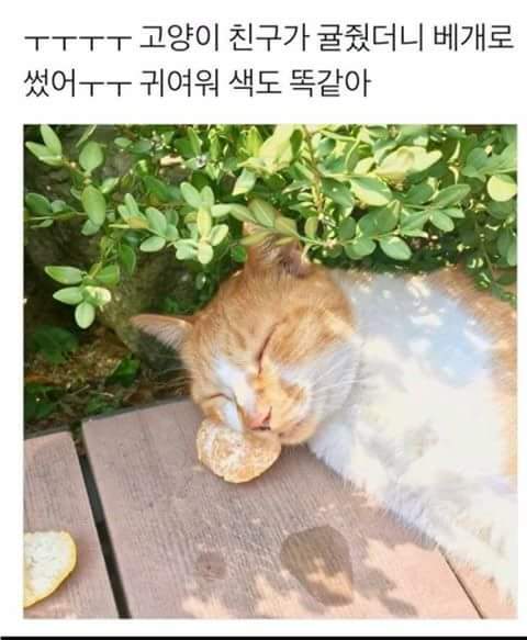 색마저같아8ㅅ8 | 인스티즈