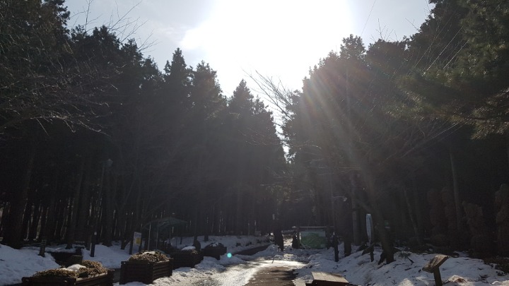 오름몰 이미지