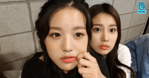 아이즈원) 예쁜애 옆에 예쁜애 옆에 예쁜애(공략당한 장원영).gif | 인스티즈
