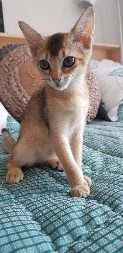 뿜 이미지
